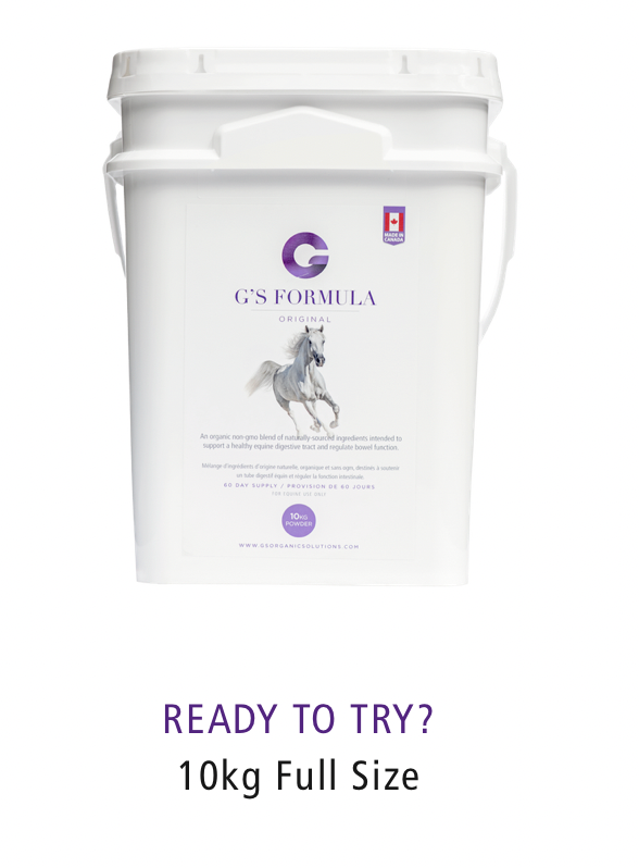 ACG-FORMULA-10 G'S Formula for Horses 10 Kg Pail
