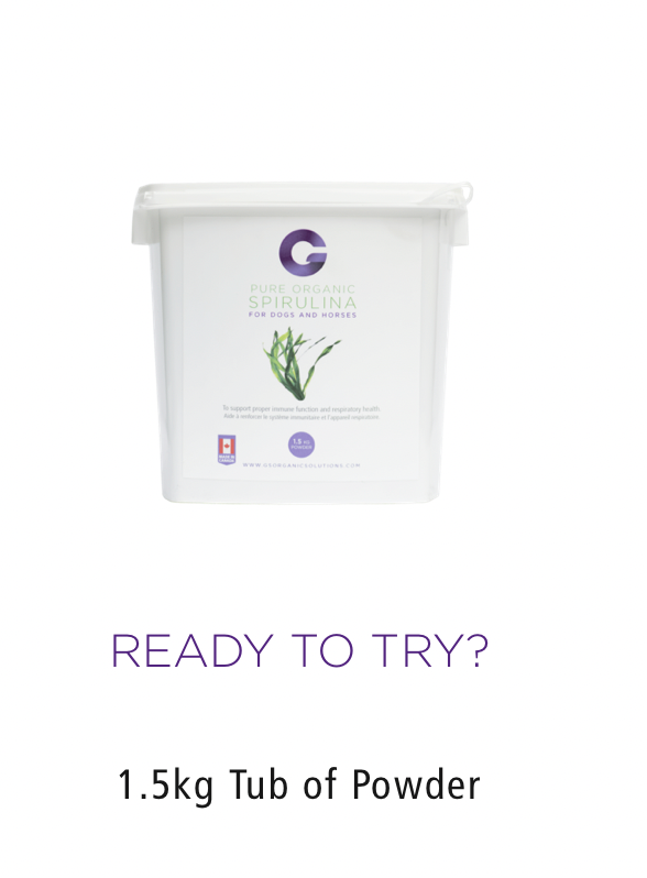 ACG-SPIRULINA-1.5 G'S Organic Spirulina Powder 1.5 Kg Tub