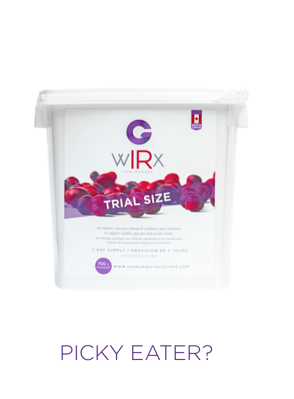 ACG-WIRX-T G'S WIRX for Horses Trial Size