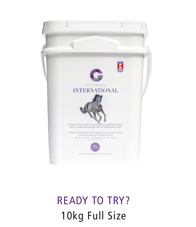 ACG-INTERN-10 G'S Formula for Horses 10 Kg Pail