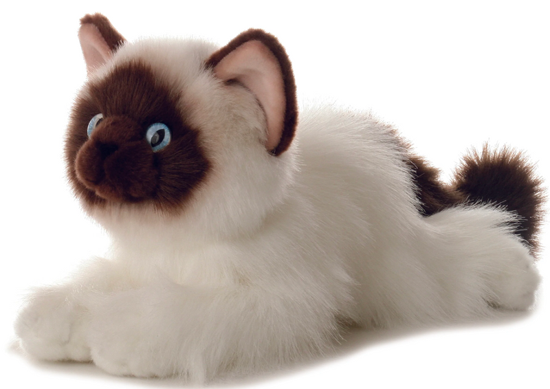 BGAW31112 Stuffed Toy - Bella Cat