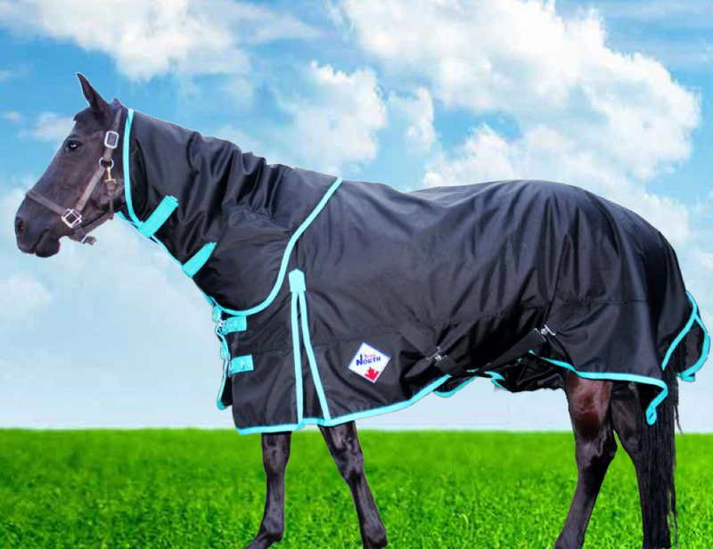 TKTO3065 Blanket Winter - 350G Denier Turn Out  w/ Detatched Neck