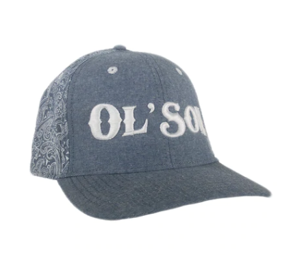 CLDALEBRISBYBC--C-108 Dale Brisby - Ball Caps - SnapBacks