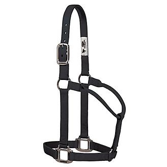 TK35-7386-Large-Black Halter, Non adjustable Large
