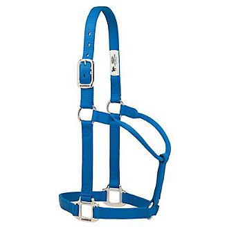 TK35-7386-Large-Blue Halter, Non adjustable Large