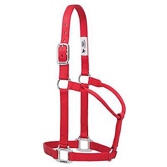 TK35-7386-Large-Red Halter, Non adjustable Large