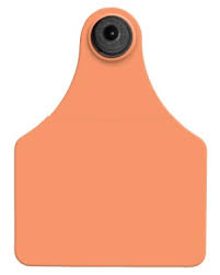 ACFLXCALF1-Large-Orange Allflex Tags Blank 25/pkg