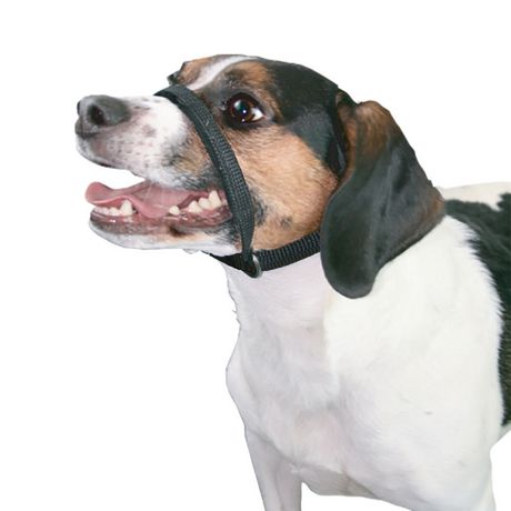 PS702 Dog Head Control Halter Small