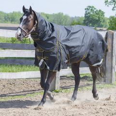 TK22500 Blanket Winter Turnout w/Hood - Mamba