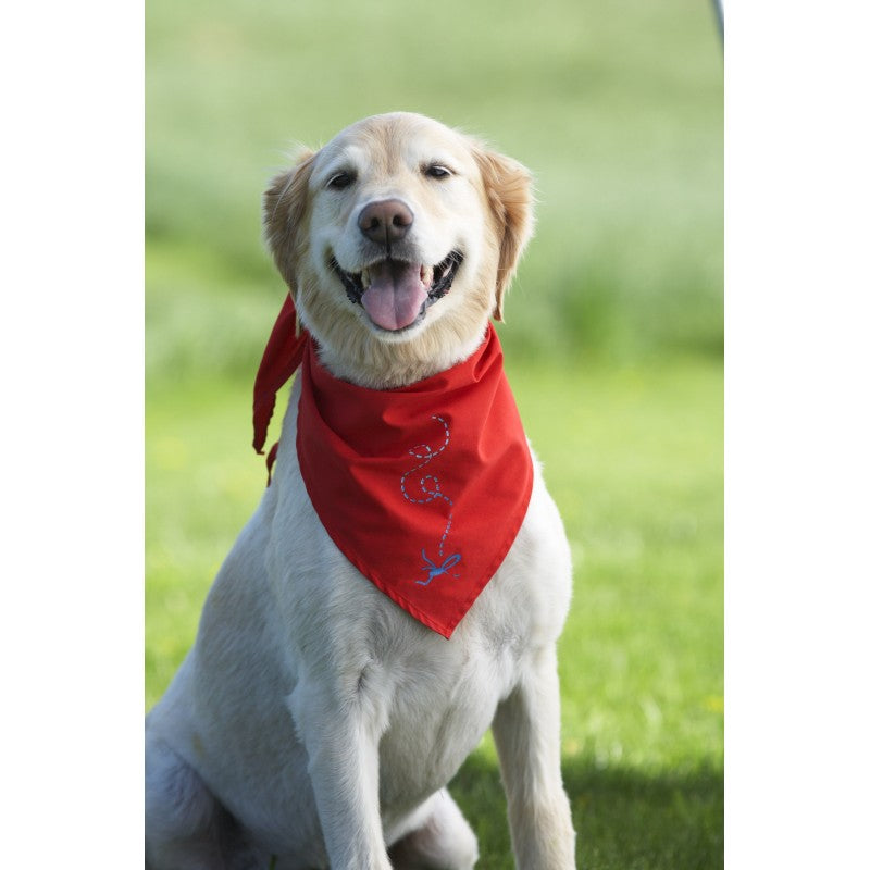 PS660 Insect Shield Bandana Doggles