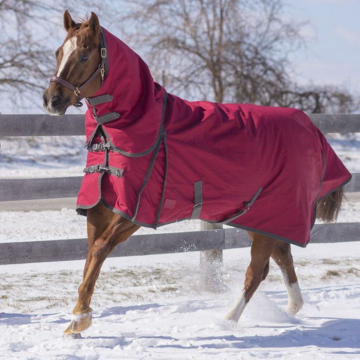 TK17050 Winter -Diablo High Neck 300g Canadian Horsewear