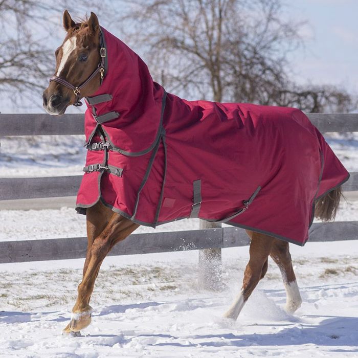 TK20700-78-Burgundy Winter Turnout w/Hood - Diablo Denali