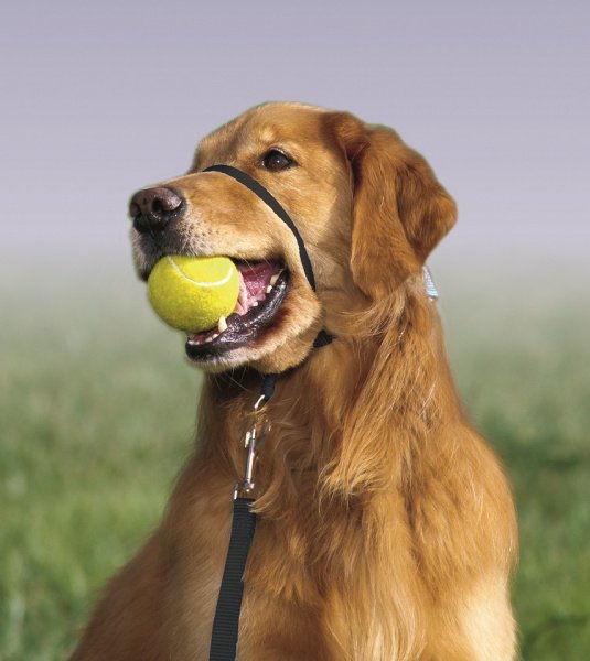 PS7023 Dog Head Control Halter Large