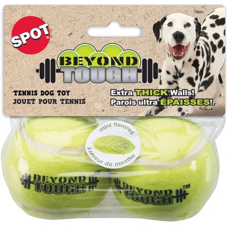 PS70012 Dog Toy Ball Mint Pkg 2