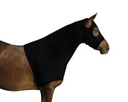 TK377654-M-Black Hood Equine FG Lycra