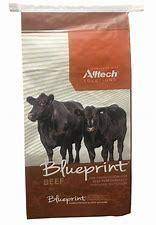 FSBLUEPRINTSUM Blueprint Summer Mineral /GARLIC 25kg bag