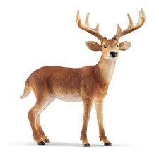 BG14818 Whitetail Buck