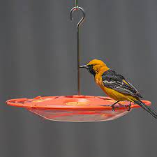 HG850074D Bird Feeder Oriole Fruit Orange 16oz