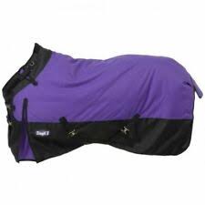 TK32-3012-M-L-Purple Rain Sheet Foal/Pony Tough 1