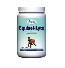 AC253957 Omega Alpha - Equisel-Lyte 1kg