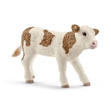 BG13802 Simmental Calf