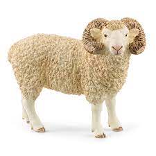 BG13937 Ram
