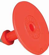 AC030 Allflex Male Buttons All Color’s 25/pkg