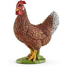 BG13826 Hen