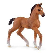 BG13947 Oldenburger Foal