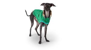 PSVP343-L-Green Dog Reversible Trail Jacket