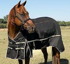 TK75007-78"-Blk Winter Guardsman 4-1 Blk