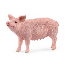 BG13933 Pig