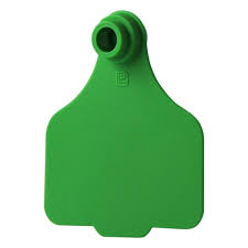 ACLARGE--Green LEADER 2 Piece LARGE Tag 25's w/buttons