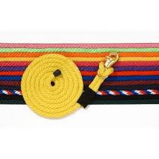 TKTJT51 Lead Shank-Nylon w/ Bull Snap