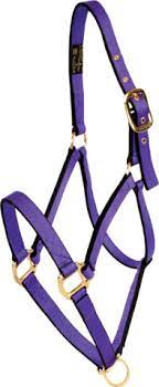 TKTBWHUHC1--Purple Halter Ultimate Foal Burwash