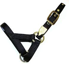 TK16 Halter Llama Nylon