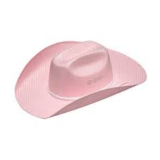 CL7102030 Cowboy Hat Twister Kids Pink Straw