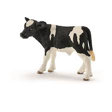 BG13798 Holstein Calf
