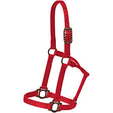 TK85272 Halter Horse-Nylon Antique Hardware