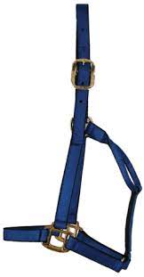 TKTBWHUHC1--Blue Halter Ultimate Foal Burwash