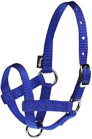 TK16 Halter Llama Nylon