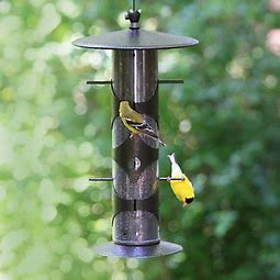 PS672 Bird Feeder Goldfinch Upside Down