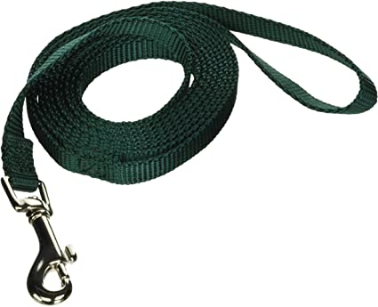 PS419677 Dog Leash - 3/8"x6' Hamilton