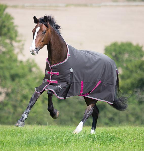 TK93003-81"-Char/Pnk Winter Highlander 300G