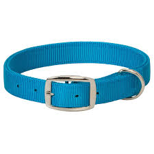 PS07-0110-21"-Hur Blue Dog Collar Prism Classic 1"
