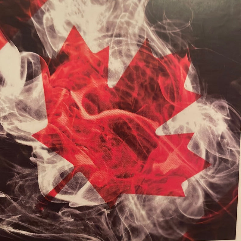 CLRL-36"-1214 Ranch-Life Wild Rags 100% Silk