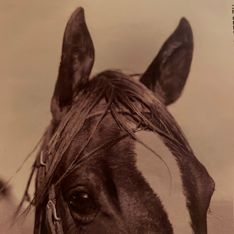 CLRL2-36"-0220 Ranch-Life Wild Rags 100% Silk