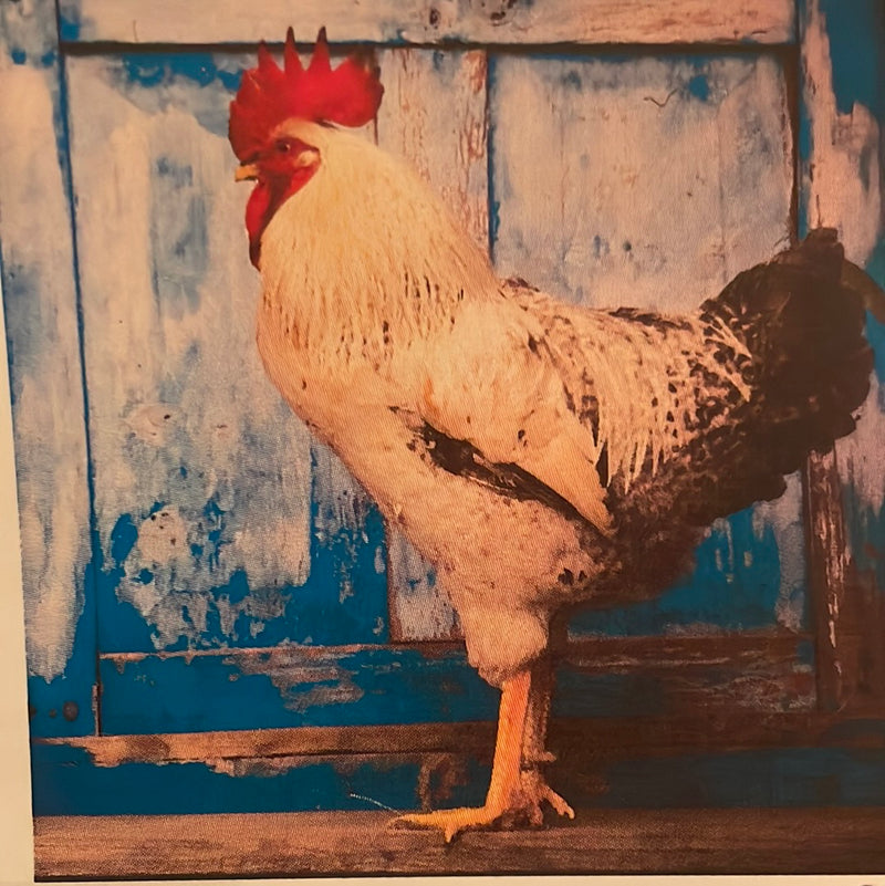 CLRL-36"-1112 Ranch-Life Wild Rags 100% Silk