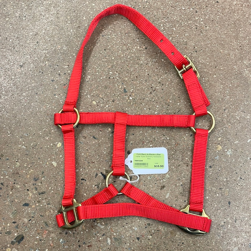 TKNH3209 Halter Nylon Economy Hardware - Mini