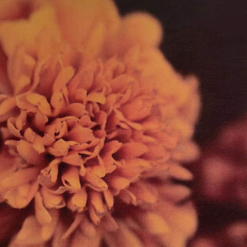 CLRL2-36"-1536 Ranch-Life Wild Rags 100% Silk